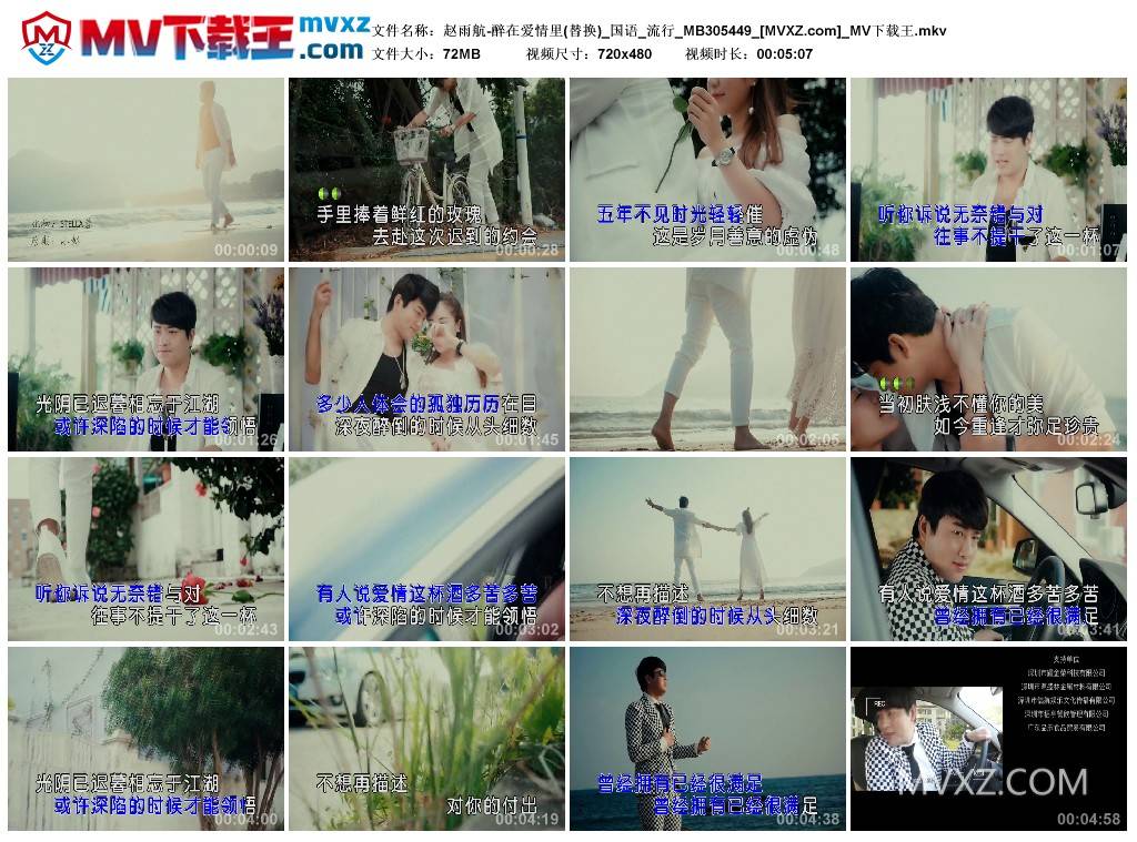 赵雨航-醉在爱情里(替换)_国语_流行_MB305449